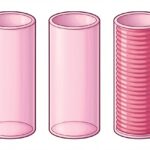 オナホールの刺激と強さはどう選ぶ？3つの要素で自分に合うタイプがわかる